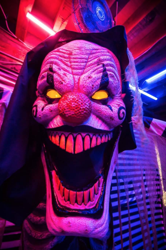 Photo Gallery FESTIVAL TIM BURTON HALLOWEEN