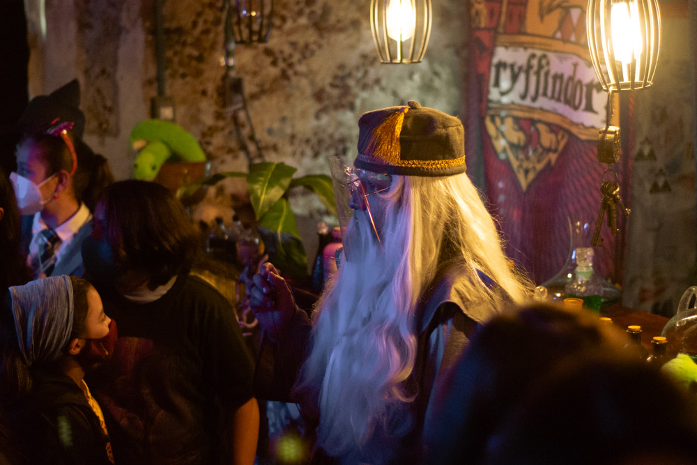 Photo Gallery CINE CAMPING NOCTURNO MAGICO