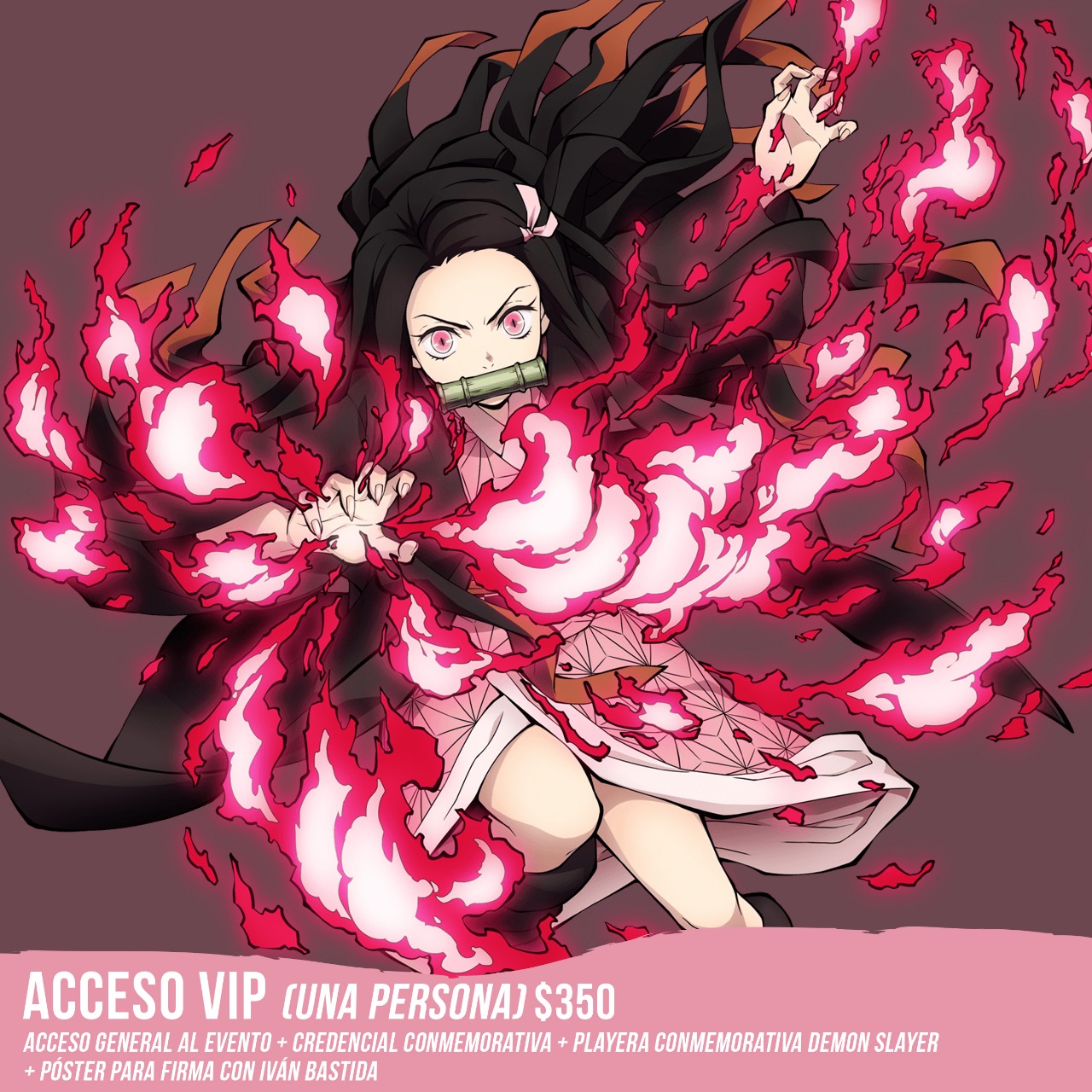Photo Gallery JAPONIZATE DEMON SLAYER II