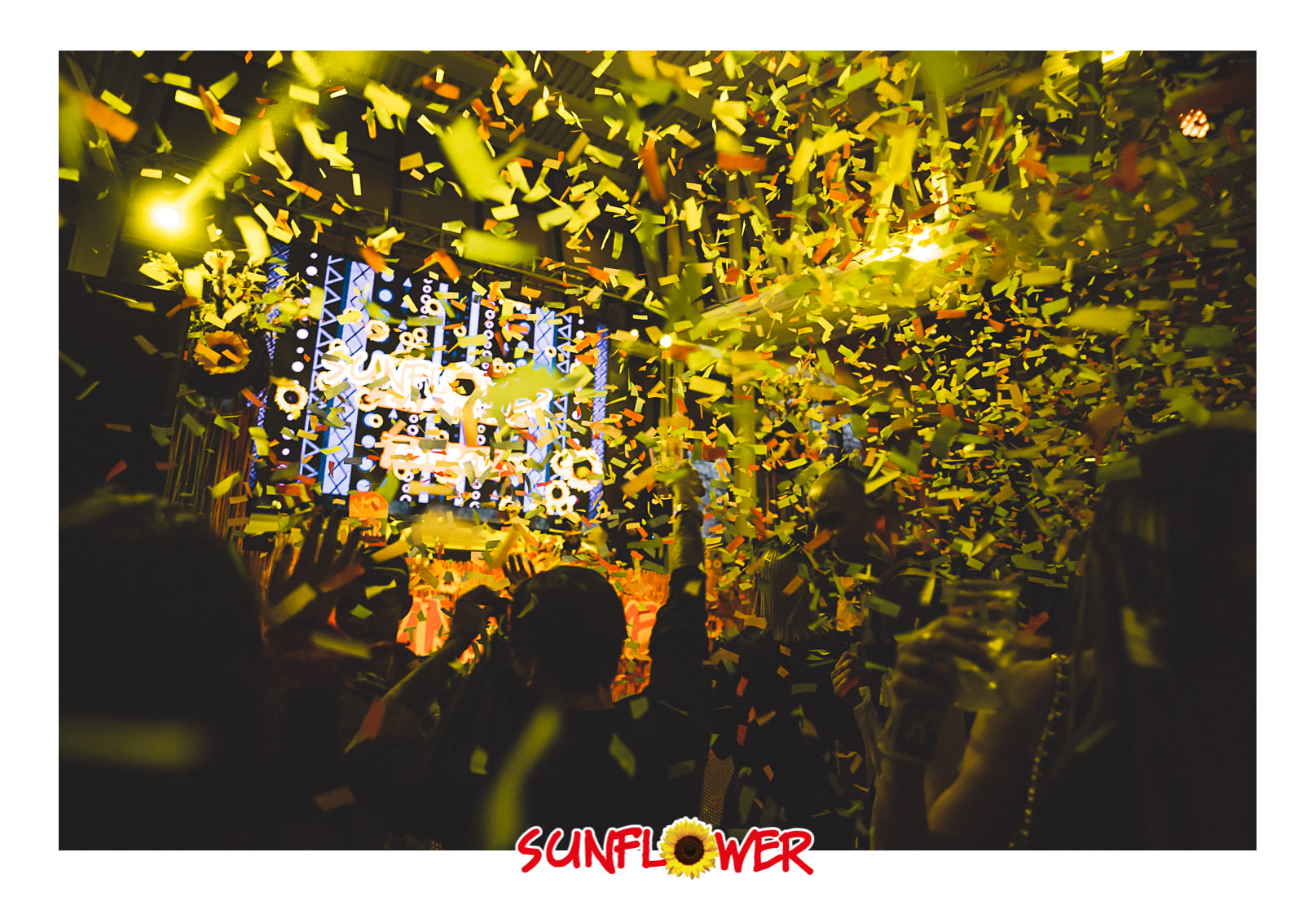 Photo Gallery Sunflower Carnival 2023